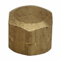 Thrifco Plumbing 1/8 Inch FIP Brass Cap 9316080